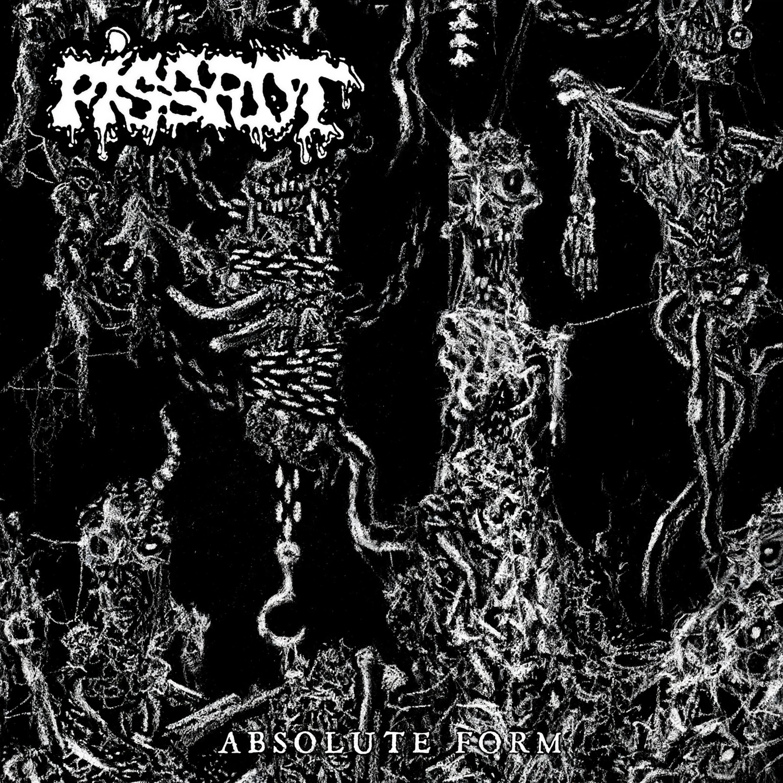 Pissrot – “Absolute Form” (2026)