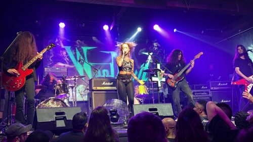 WeeDevil 2025 ao vivo