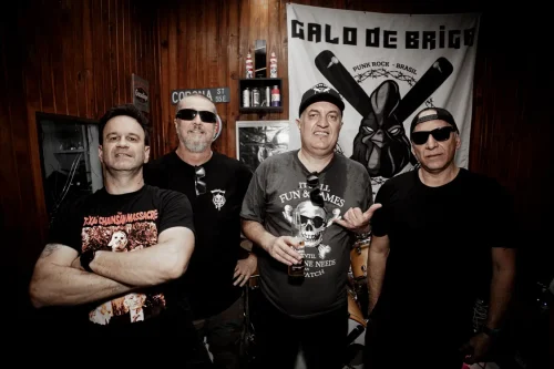 galo_de_briga