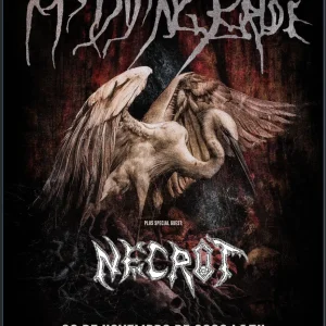 mydyingbride_show