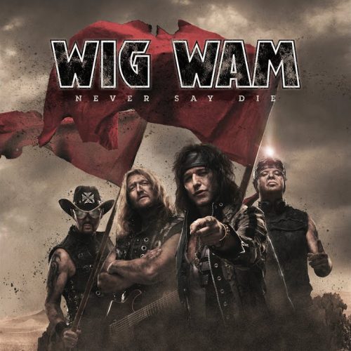 wig